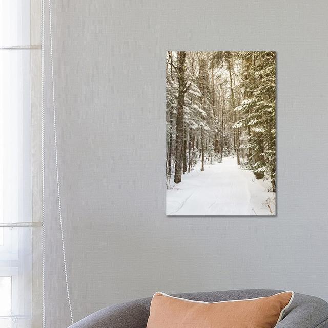 Through The Woods by Aledanda - Wrapped Canvas Print Union Rustic Size: 66.04cm H x 45.72cm W x 3.81cm D on Productcaster.