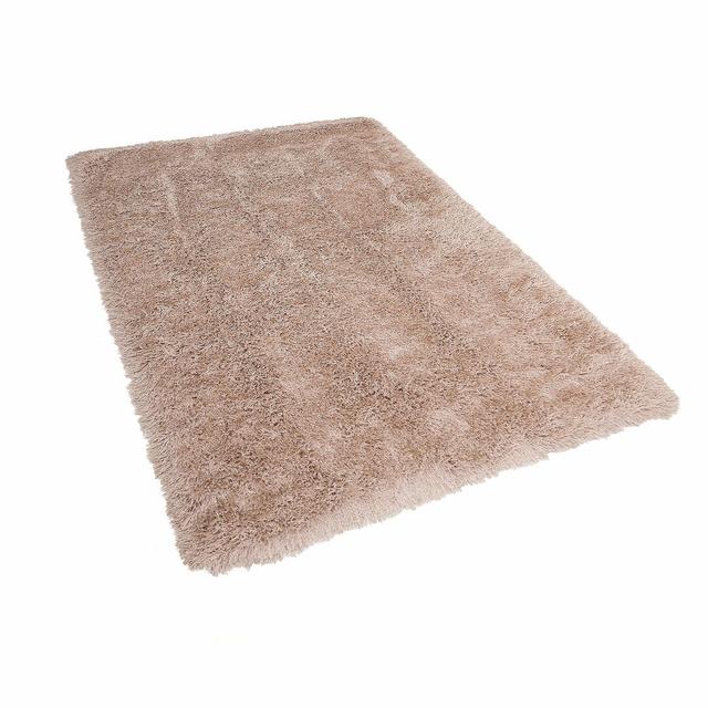 Laceyville Tufted Beige Rug 17 Stories Rug Size: Rectangle 200 x 300cm on Productcaster.