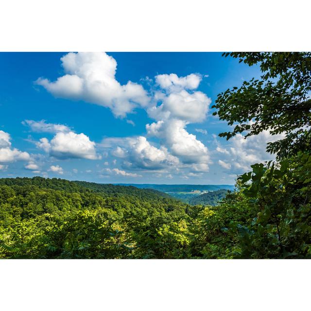 Laurana Shawnee State Forest - Wrapped Canvas Photograph 17 Stories Size: 51cm H x 76cm W x 3.8cm D on Productcaster.