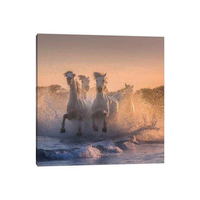 White Angels Of Camargue V by Daniel Kordan - Wrapped Canvas Print Brambly Cottage Size: 45.72cm H x 45.72cm W x 1.905cm D on Productcaster.