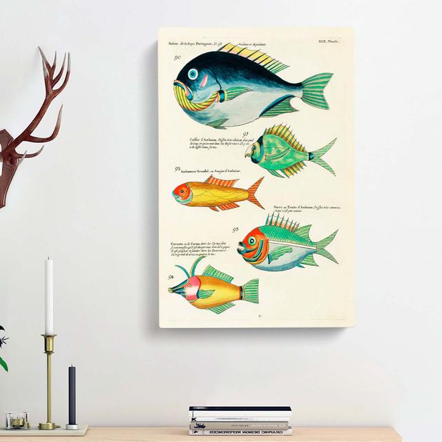 East Indies Fish Illustrations XIX by Louis Renard - Wrapped Canvas Painting East Urban Home Size: 50cm H x 35cm W x 3cm D on Productcaster.