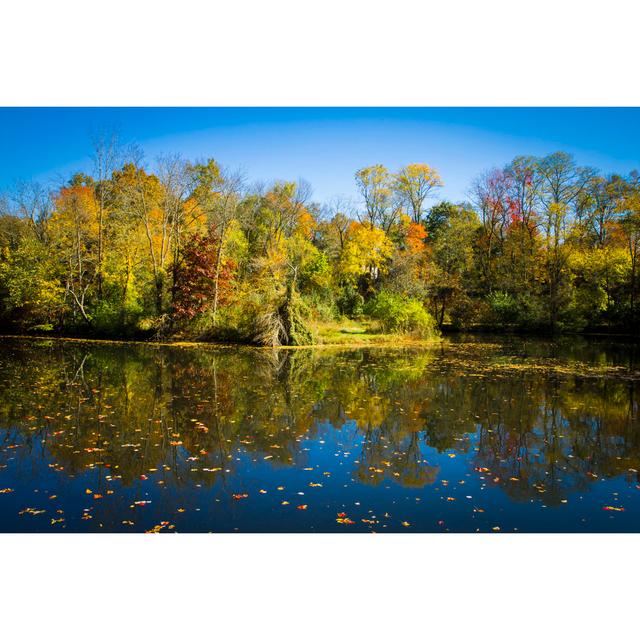 Fall Reflections On The Delaware And Raritan Canal by Luvemakphoto - Wrapped Canvas Print Union Rustic Size: 51cm H x 76cm W x 3.8cm D on Productcaster.