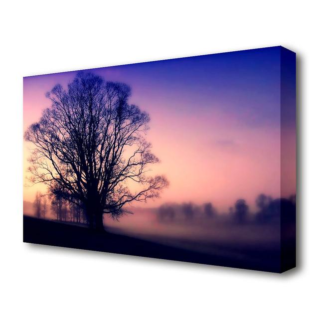 'Scots Mist Landscape' - Canvas Photographic Print East Urban Home Size: 81.3 cm H x 121.9 cm W on Productcaster.