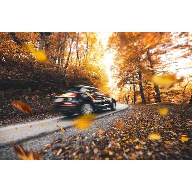 Autumn Drive by Borchee - No Frame Print on Canvas 17 Stories Size: 20cm H x 30cm W on Productcaster.