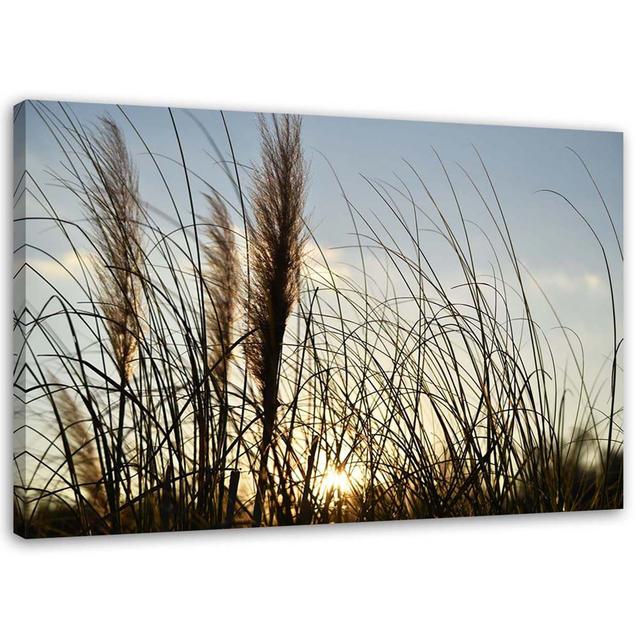 Canvas print, Reeds in the sun August Grove on Productcaster.