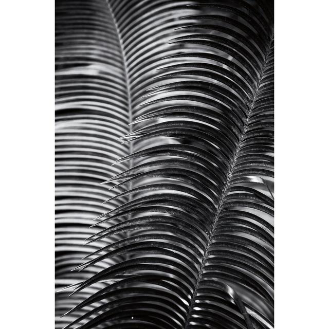 Tropical III by Aledanda - Wrapped Canvas Photograph 17 Stories Size: 91cm H x 61cm W on Productcaster.