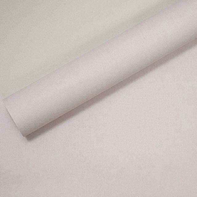 Audino 10m x 53cm Textured Matte Wallpaper Roll Latitude Run Colour: Pink on Productcaster.