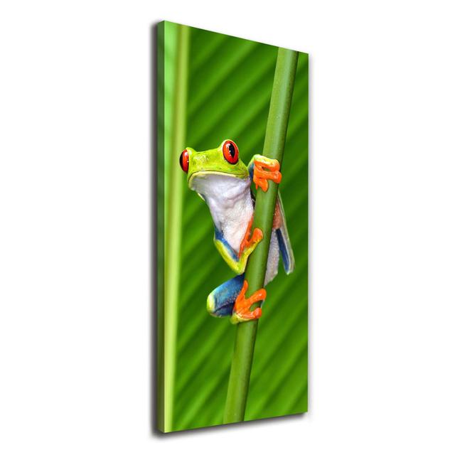 Tree Frog - Wrapped Canvas Art Prints Brayden Studio on Productcaster.