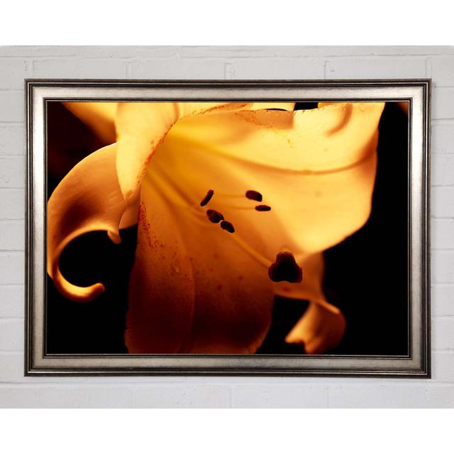 Cocoa Sun Blaze - Single Picture Frame Art Prints Brayden Studio Size: 21cm H x 29.7cm W x 1.5cm D on Productcaster.