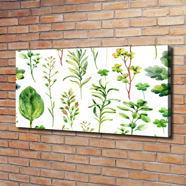 Herbs and Weeds - Wrapped Canvas Art Prints Ophelia & Co. on Productcaster.