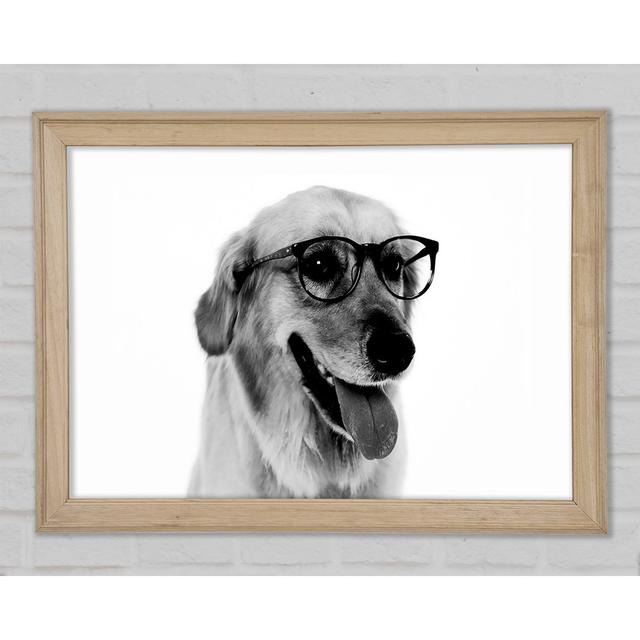 Have You Seen My Glasses B N W - Print Ebern Designs Size: 21cm H x 29.7cm W x 1.5cm D, Format: Natural Framed Paper on Productcaster.