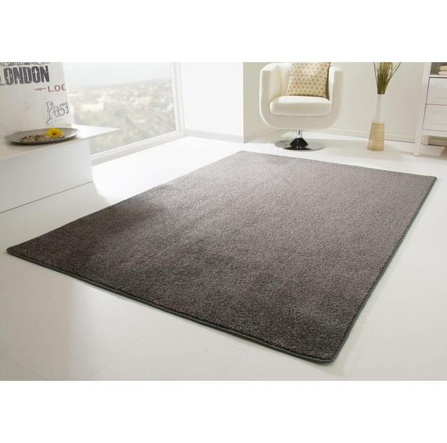 Willenhall carpet in anthracite Latitude Run Rug Size: Rectangular 200 x 300cm on Productcaster.