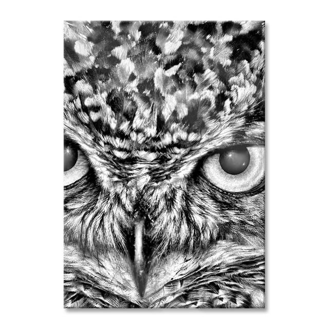 Owl With Yellow Eyes - No Frame Print on Glass Alpen Home Size: 80cm H x 60cm W x 0.4cm D on Productcaster.