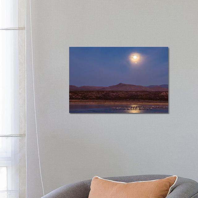 USA, New Mexico, Bosque Del Apache National Wildlife Refuge. Full Moon And Bird Flocks. by Jaynes Gallery - Wrapped Canvas Print Union Rustic on Productcaster.