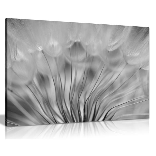 Abstract Black & White Dandelion Soft Floral - Wrapped Canvas Art Prints Panther Print Size: 51cm H x 76cm W on Productcaster.