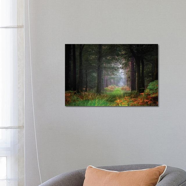 Entering The Forest by Philippe Manguin - Wrapped Canvas Print Alpen Home Size: 45.72cm H x 66.04cm W x 1.905cm D on Productcaster.