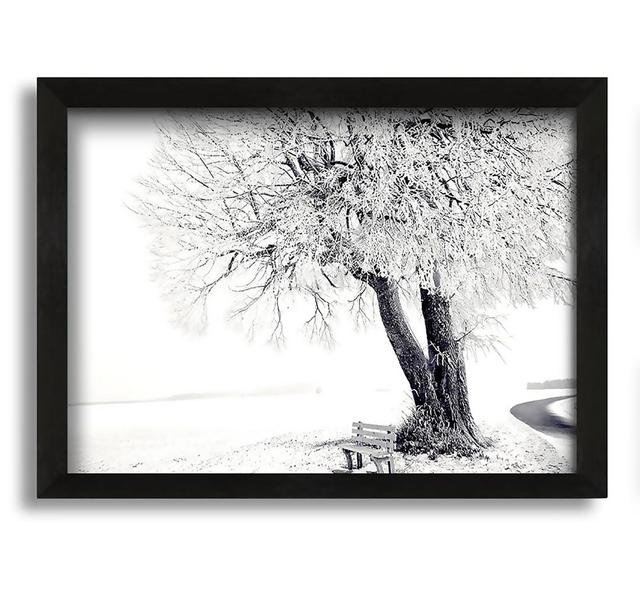 Bench Under Tree Winter - Picture Frame Graphic Art on Canvas Brayden Studio on Productcaster.