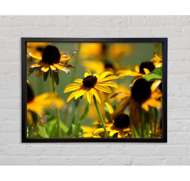 Yellow Flowers In The Garden - Print August Grove Size: 100cm H x 141.4cm W x 3.3cm D, Format: Dark Grey Framed Canvas on Productcaster.