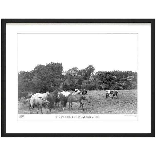 'Ringwood, the Sanatorium 1913' by Francis Frith - Picture Frame Photograph Print on Paper The Francis Frith Collection Size: 40cm H x 50cm W x 2.3cm on Productcaster.