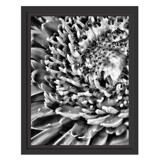 Gerahmtes Wandbild Gerbera Gras Blumen East Urban Home Größe: 38 cm H x 30 cm B on Productcaster.