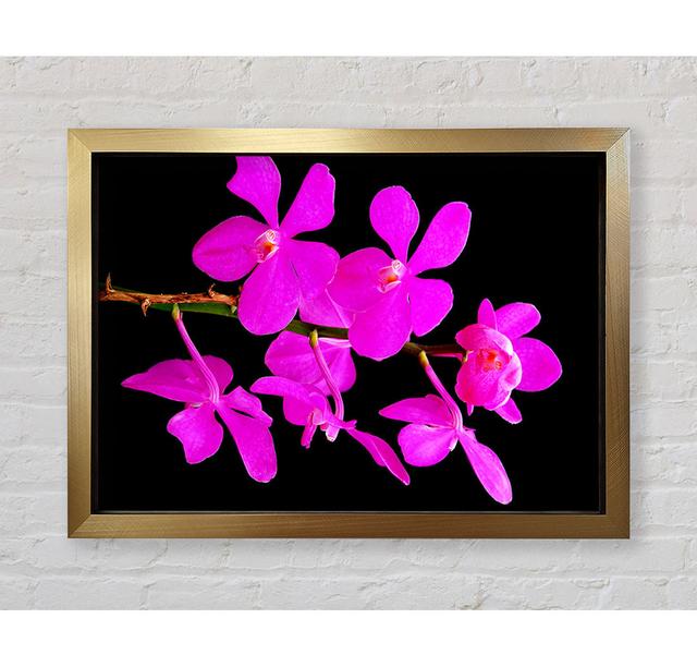 Vibrant Pink Beauties - Single Picture Frame Art Prints Bright Star Size: 100cm H x 141.4cm W on Productcaster.