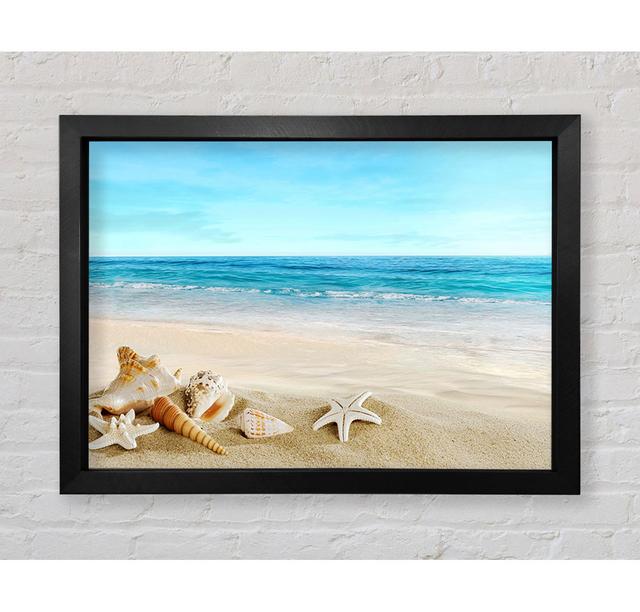 Ocean Shells - Print Bright Star Size: 84.1cm H x 118.9cm W x 3.4cm D on Productcaster.