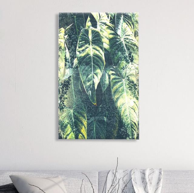 Wrapped Canvas Print Oliver Gal Size: 61cm H x 41cm W on Productcaster.