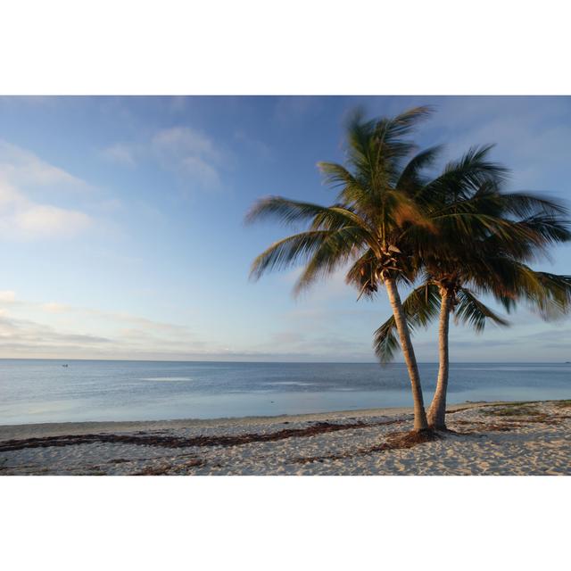 Veteran's Beach by Ericfoltz - Wrapped Canvas Art Prints House of Hampton Size: 81cm H x 122cm W on Productcaster.