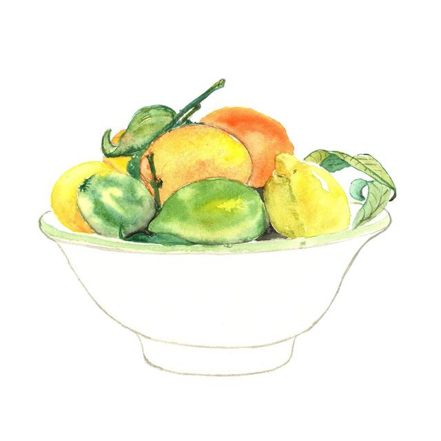 Bowl Of Citrus - Wrapped Canvas Painting August Grove Size: 20cm H x 30cm W x 3.8cm D on Productcaster.