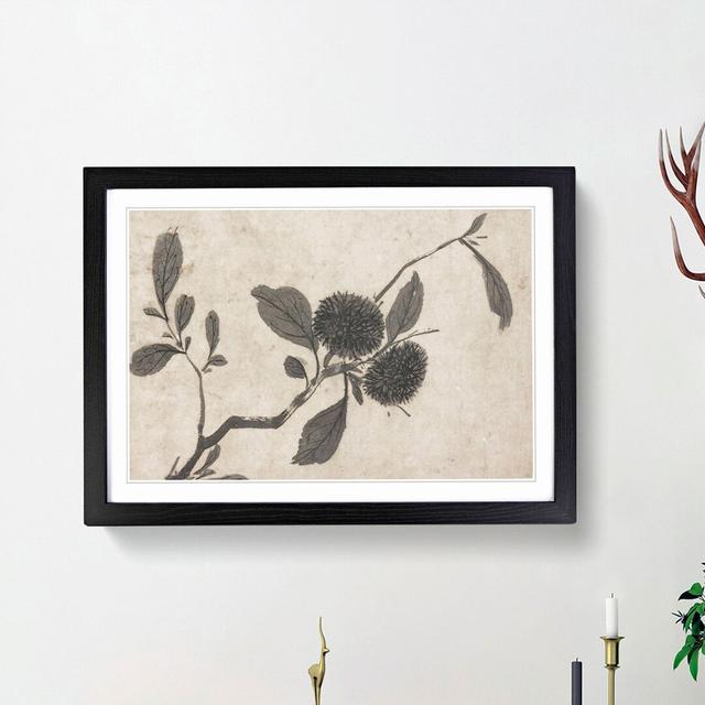 Branch of a Fruit Tree by Shen Zhou - Picture Frame Painting Print East Urban Home Frame Option: Black Framed, Size: 36cm H x 48cm W x 2cm D on Productcaster.