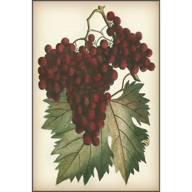 Red Grapes II - Wrapped Canvas Painting August Grove Size: 46cm H x 30cm W on Productcaster.