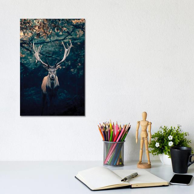 Deer by Nikita Abakumov - Wrapped Canvas Print Alpen Home on Productcaster.