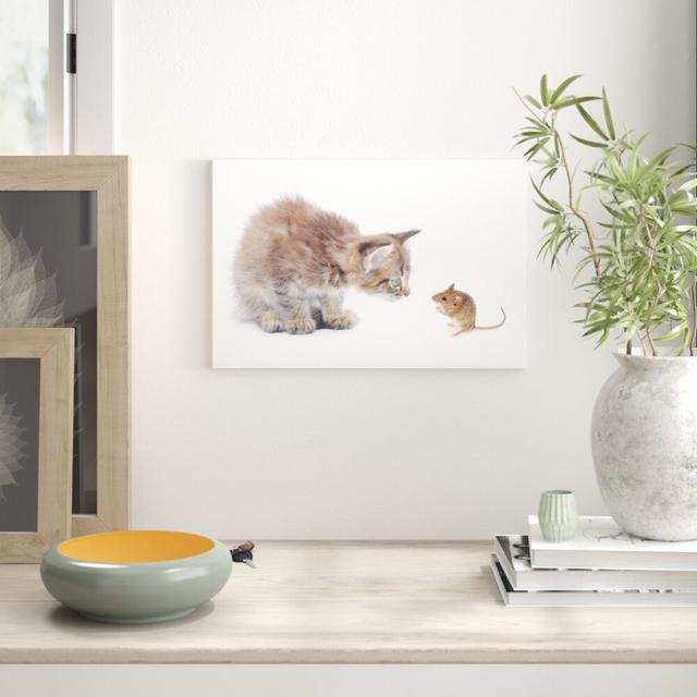 Leinwandbild „Katze und Maus Freunde", Fotodruck East Urban Home Größe: 60 cm H x 80 cm B on Productcaster.