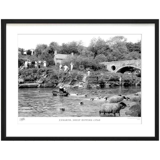 'Cenarth, Sheep Dipping C1960' by Francis Frith - Picture Frame Photograph Print on Paper The Francis Frith Collection Size: 45cm H x 60cm W x 2.3cm D on Productcaster.