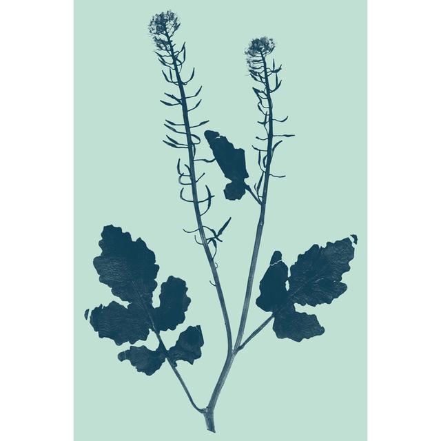 Indigo & Mint Botanical Study I by Vision Studio - Wrapped Canvas Graphic Art August Grove Size: 91cm H x 61cm W on Productcaster.