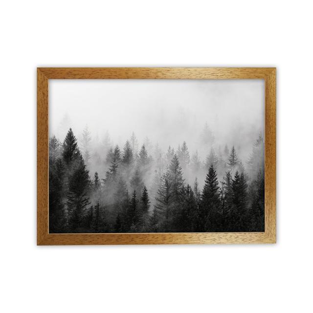 Forest - Print Alpen Home Frame Option: Brown Framed, Size: 46cm H x 34cm W x 3cm D on Productcaster.