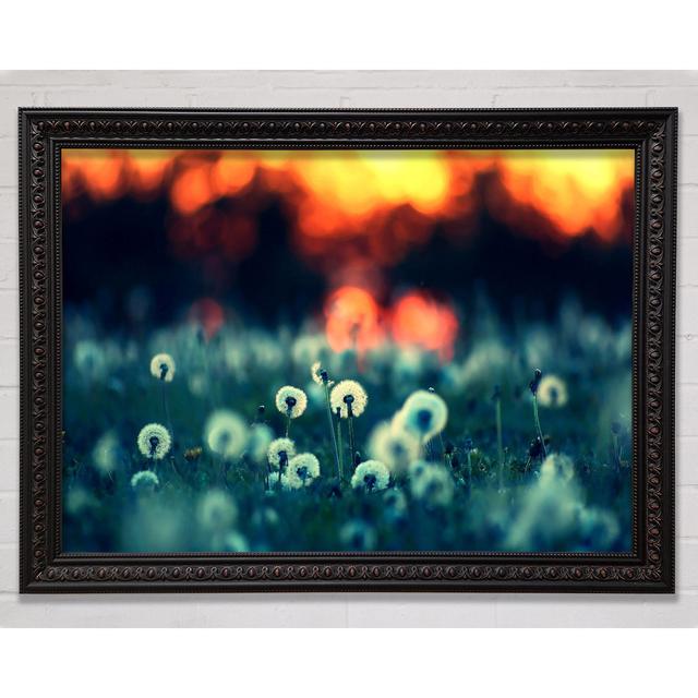 Single Picture Frame Art Prints Bright Star Size: 21cm H x 29.7cm W on Productcaster.