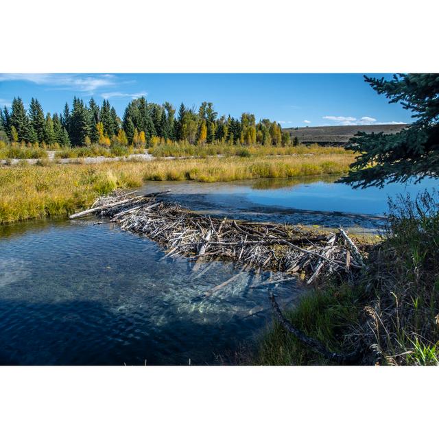 Beaver Dam, Wyoming by Matthew H Irvin - Wrapped Canvas Photograph Alpen Home Size: 51cm H x 76cm W on Productcaster.