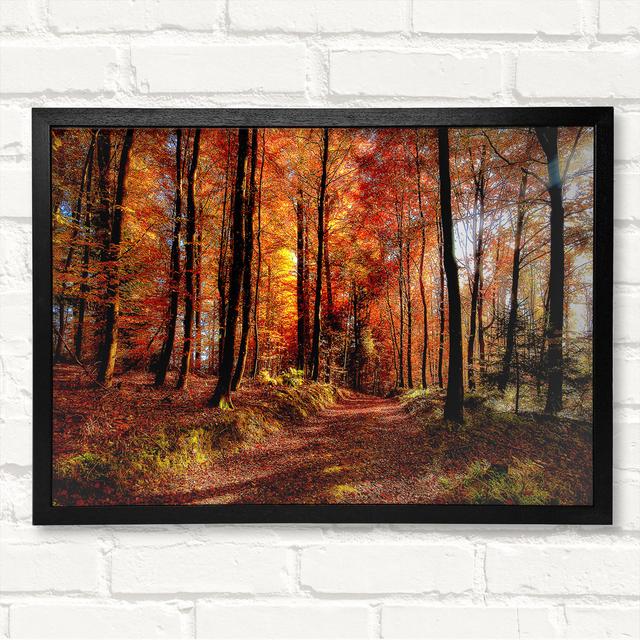 Fall Forest Path - Closed Corner Frame Art Prints on Wood Alpen Home Size: 21cm H x 29.7cm W on Productcaster.