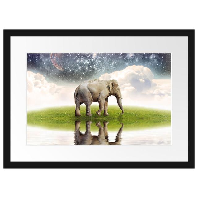 Gerahmtes Poster Einsamer Elefant Sternenhimmel East Urban Home Größe: 40 cm H x 55 cm B on Productcaster.