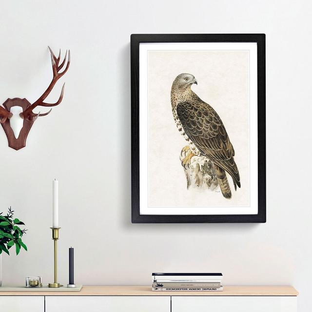 European Honey-buzzard by Von Wright - Picture Frame Painting Print East Urban Home Frame Option: Black Framed, Size: 65cm H x 48cm W x 2cm D on Productcaster.