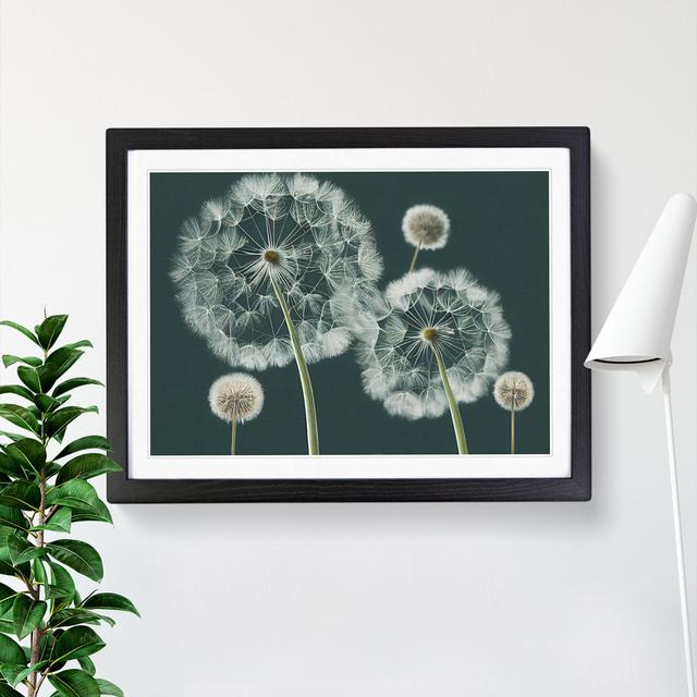 Magical Dandelion Flowers - Single Picture Frame Print 17 Stories Size: 46cm H x 64cm W x 2cm D, Frame Colour: Black on Productcaster.