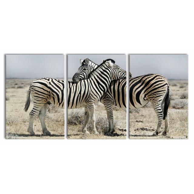 'Cuddling Zebras' 3 Piece Photographic Art Print Set on Wrapped Canvas East Urban Home Size: 100 cm H x 210 cm W on Productcaster.