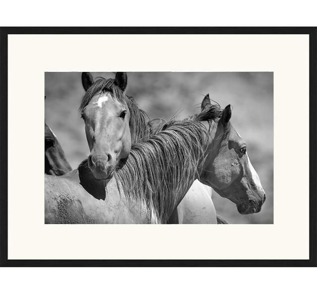 Wild Horses - Picture Frame Graphic Art Print on Paper Brayden Studio Size: 63cm H x 83cm W x 2.5cm D on Productcaster.