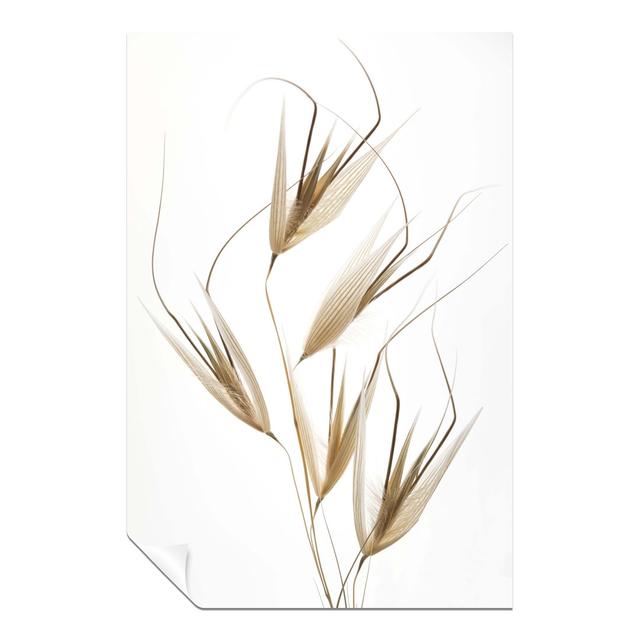 Ebern Designs Fine Art Prints White & Brown Wheat Grass Minimalist Artistic Unframed Poster, Pictures For Home Walls, Bedroom, Living Room & Bathroom on Productcaster.