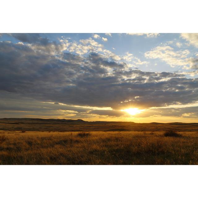 Grasslands National Park by Reinhard - Wrapped Canvas Print 17 Stories Size: 20cm H x 30cm W x 3.8cm D on Productcaster.