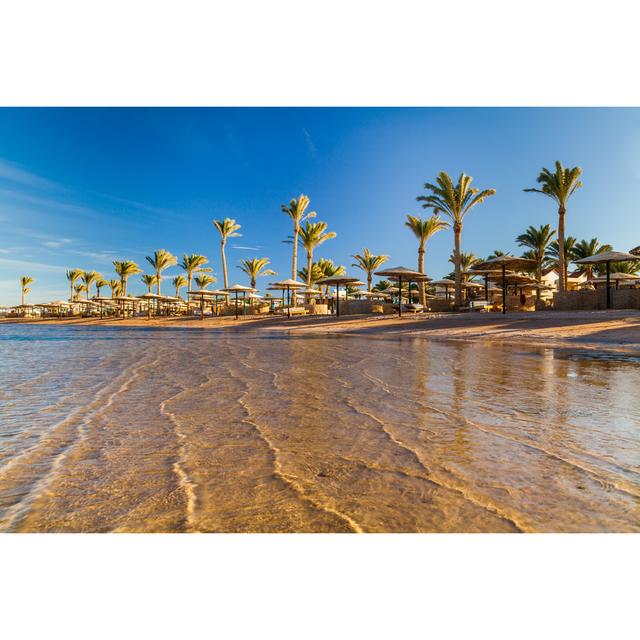 Palm Trees At Sunset. Egypt Highland Dunes Size: 20cm H x 30cm W x 3.8cm D on Productcaster.