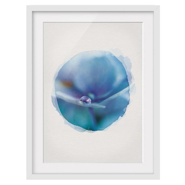 Water Drops Hydrangea Blossom - Picture Frame Graphic Art Rosalind Wheeler Size: 70cm H x 50cm W x 2cm D, Frame Option: White Framed on Productcaster.