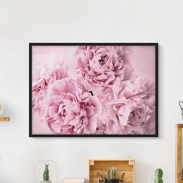 Pink Peonies - Picture Frame Graphic Art Rosdorf Park Format: Black Framed, Size: 30cm H x 40cm W x 2cm D, Matte Colour: White on Productcaster.