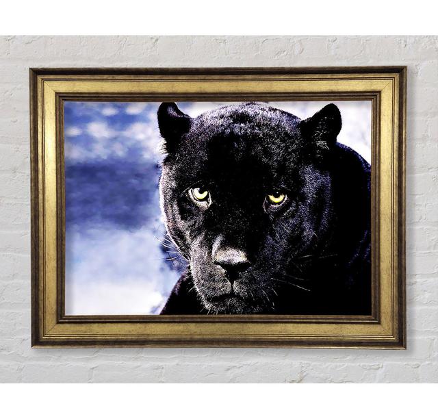 Black Panther - Bilderrahmen Kunstdrucke Bright Star Größe: 29,7 cm H x 42 cm B on Productcaster.